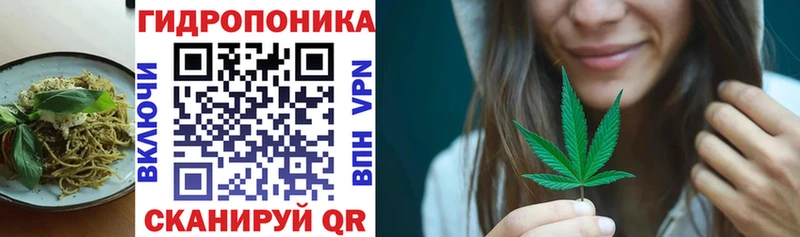 Canna-Cookies конопля Пересвет