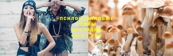 индика Верхний Тагил