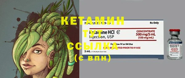 индика Верхний Тагил