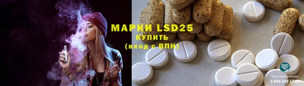 индика Верхний Тагил