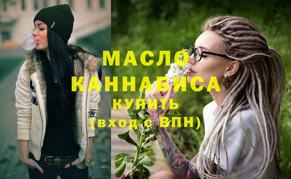 гашик Верея