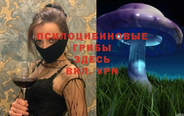 индика Верхний Тагил