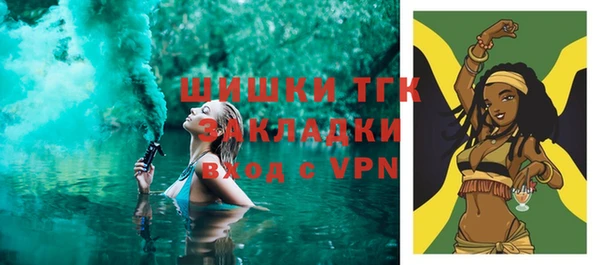 гашик Верея