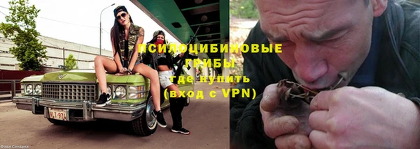 спайс Бородино