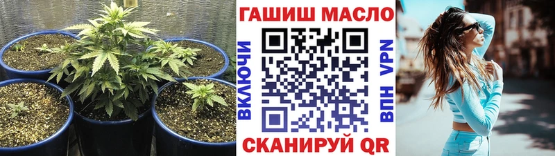 ТГК концентрат Пересвет