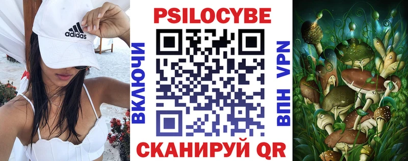 цена   Пересвет  Галлюциногенные грибы Cubensis 
